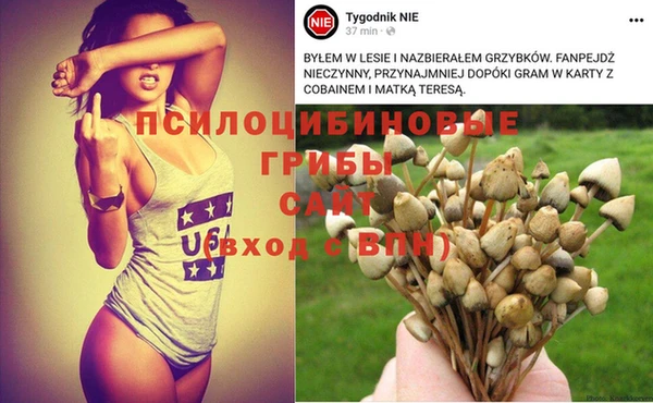 синтетический гашиш Аркадак