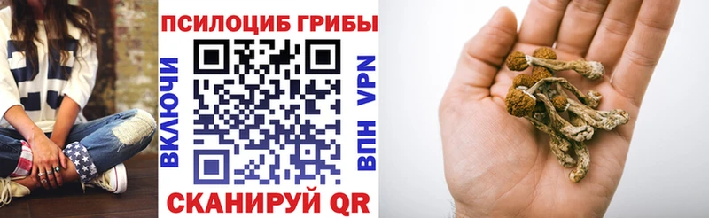 Галлюциногенные грибы мицелий Ликино-Дулёво